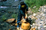 Fisherman emptying eel from narrow traps