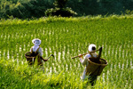 Farm women carrying tools and backpack baskets