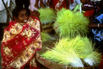 Jaba Grains for Durga